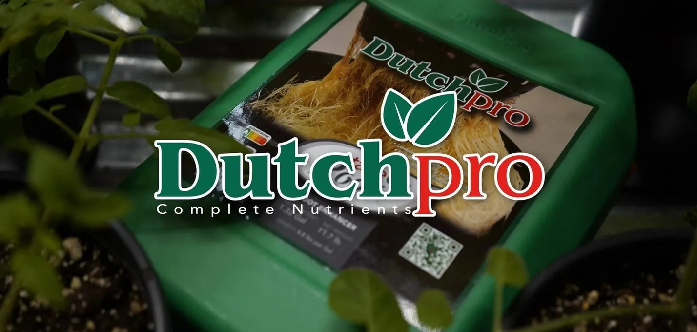 A bottle of Dutch Pro nutrients beside young plants