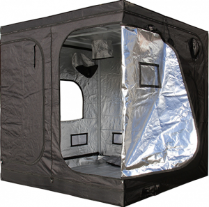 GorillaBox Deluxe Tents